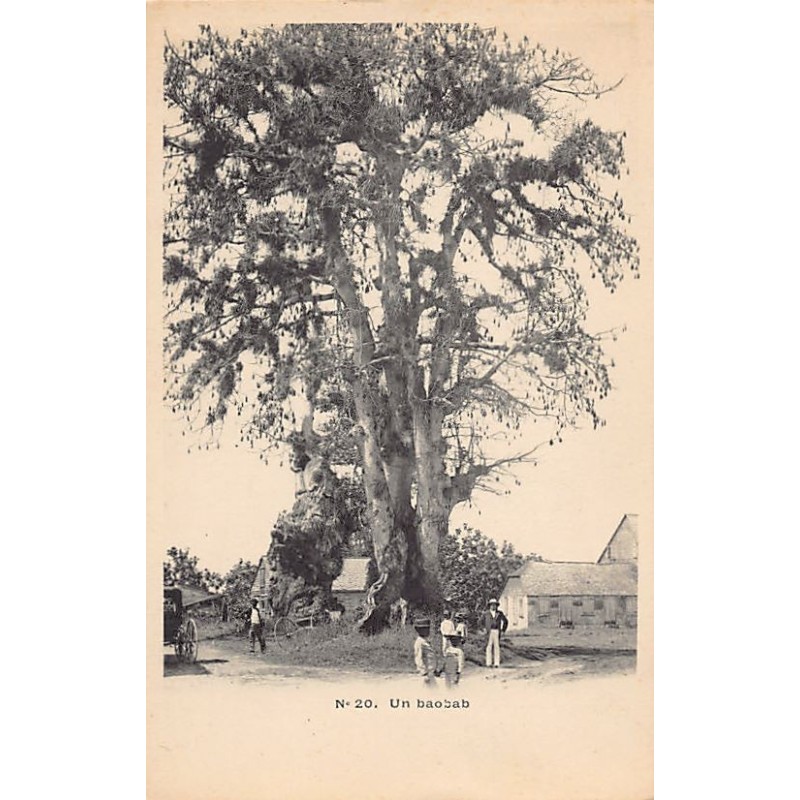 Rare collectable postcards of GUADELOUPE Belgique België. Vintage Postcards of GUADELOUPE Belgique België