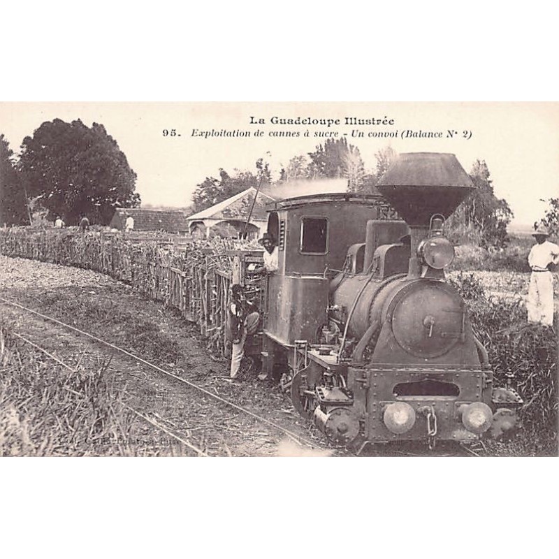 Rare collectable postcards of GUADELOUPE Belgique België. Vintage Postcards of GUADELOUPE Belgique België