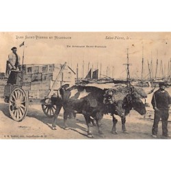 Rare collectable postcards of SAINT-PIERRE & MIQUELON Belgique België. Vintage Postcards of SAINT-PIERRE & MIQUELON Belgique Bel