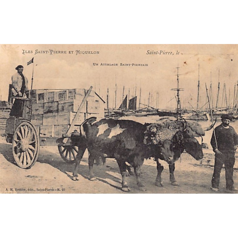 Rare collectable postcards of SAINT-PIERRE & MIQUELON Belgique België. Vintage Postcards of SAINT-PIERRE & MIQUELON Belgique Bel