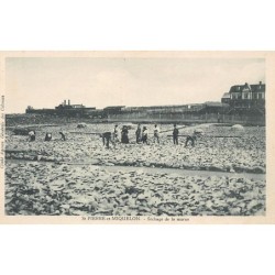 Rare collectable postcards of SAINT-PIERRE & MIQUELON Belgique België. Vintage Postcards of SAINT-PIERRE & MIQUELON Belgique Bel