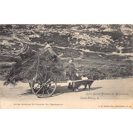 Rare collectable postcards of SAINT-PIERRE & MIQUELON Belgique België. Vintage Postcards of SAINT-PIERRE & MIQUELON Belgique Bel