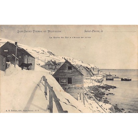 Rare collectable postcards of SAINT-PIERRE & MIQUELON Belgique België. Vintage Postcards of SAINT-PIERRE & MIQUELON Belgique Bel