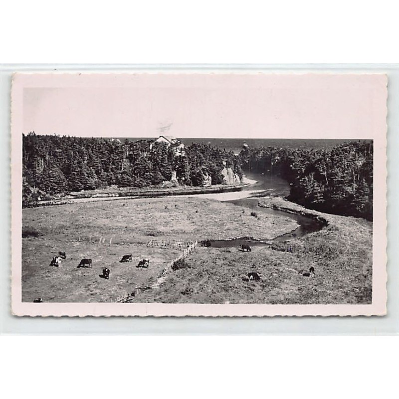 Rare collectable postcards of SAINT-PIERRE & MIQUELON Belgique België. Vintage Postcards of SAINT-PIERRE & MIQUELON Belgique Bel