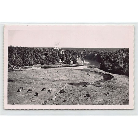 Rare collectable postcards of SAINT-PIERRE & MIQUELON Belgique België. Vintage Postcards of SAINT-PIERRE & MIQUELON Belgique Bel