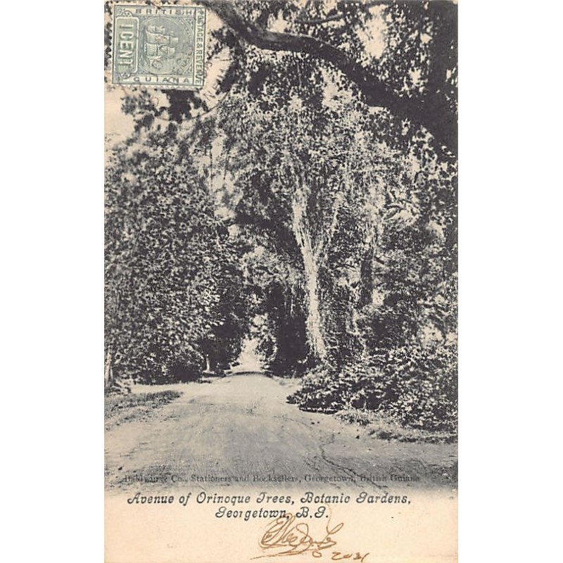 Rare collectable postcards of GUYANA British Guiana Belgique België. Vintage Postcards of GUYANA British Guiana Belgique België