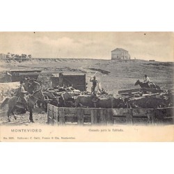 Rare collectable postcards of URUGUAY Belgique België. Vintage Postcards of URUGUAY Belgique België