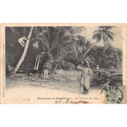 Rare collectable postcards of MARTINIQUE Belgique België. Vintage Postcards of MARTINIQUE Belgique België