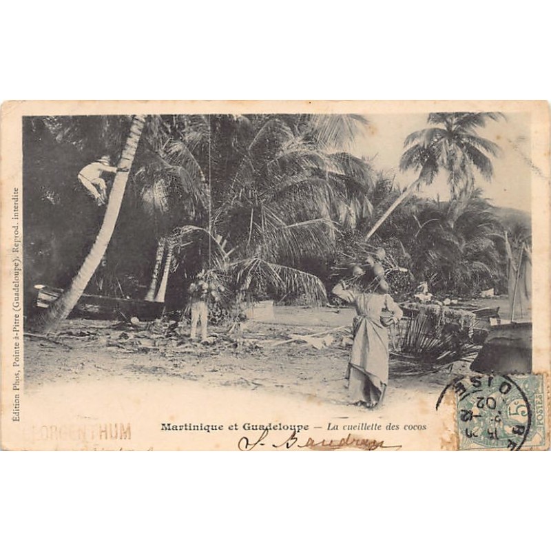 Rare collectable postcards of MARTINIQUE Belgique België. Vintage Postcards of MARTINIQUE Belgique België