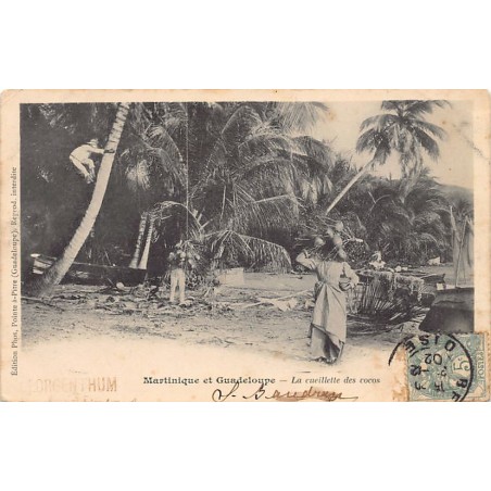 Rare collectable postcards of MARTINIQUE Belgique België. Vintage Postcards of MARTINIQUE Belgique België