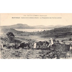 Rare collectable postcards of MARTINIQUE Belgique België. Vintage Postcards of MARTINIQUE Belgique België