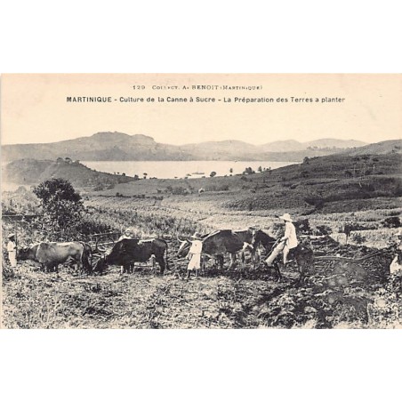 Rare collectable postcards of MARTINIQUE Belgique België. Vintage Postcards of MARTINIQUE Belgique België