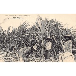 Rare collectable postcards of MARTINIQUE Belgique België. Vintage Postcards of MARTINIQUE Belgique België