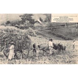 Rare collectable postcards of MARTINIQUE Belgique België. Vintage Postcards of MARTINIQUE Belgique België