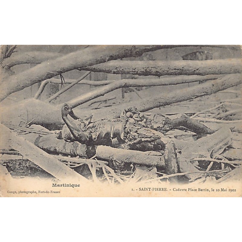 Rare collectable postcards of MARTINIQUE Belgique België. Vintage Postcards of MARTINIQUE Belgique België