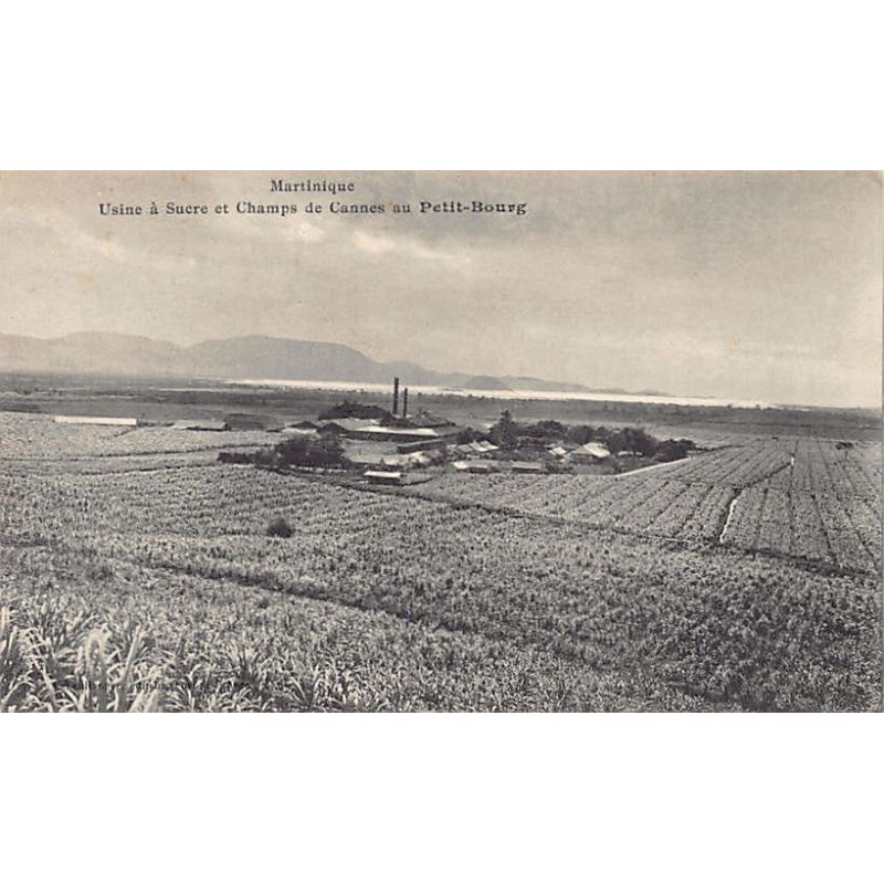 Rare collectable postcards of MARTINIQUE Belgique België. Vintage Postcards of MARTINIQUE Belgique België