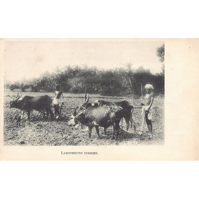 Rare collectable postcards of INDIA Belgique België. Vintage Postcards of INDIA Belgique België