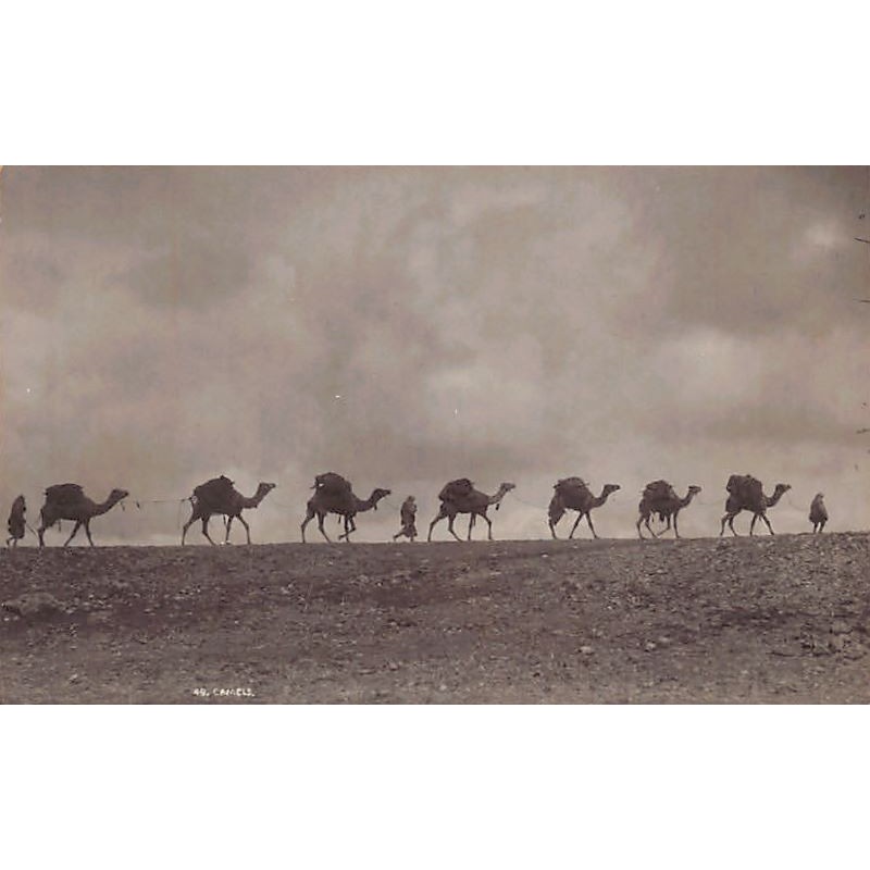 Rare collectable postcards of ISRAEL & PALESTINE Belgique België. Vintage Postcards of ISRAEL & PALESTINE Belgique België