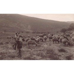 Rare collectable postcards of ISRAEL & PALESTINE Belgique België. Vintage Postcards of ISRAEL & PALESTINE Belgique België