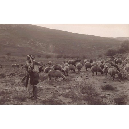 Rare collectable postcards of ISRAEL & PALESTINE Belgique België. Vintage Postcards of ISRAEL & PALESTINE Belgique België