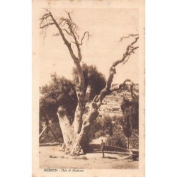 Rare collectable postcards of ISRAEL & PALESTINE Belgique België. Vintage Postcards of ISRAEL & PALESTINE Belgique België