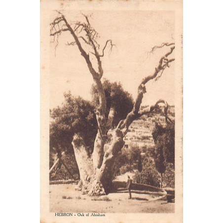 Rare collectable postcards of ISRAEL & PALESTINE Belgique België. Vintage Postcards of ISRAEL & PALESTINE Belgique België