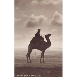 Rare collectable postcards of ISRAEL & PALESTINE Belgique België. Vintage Postcards of ISRAEL & PALESTINE Belgique België