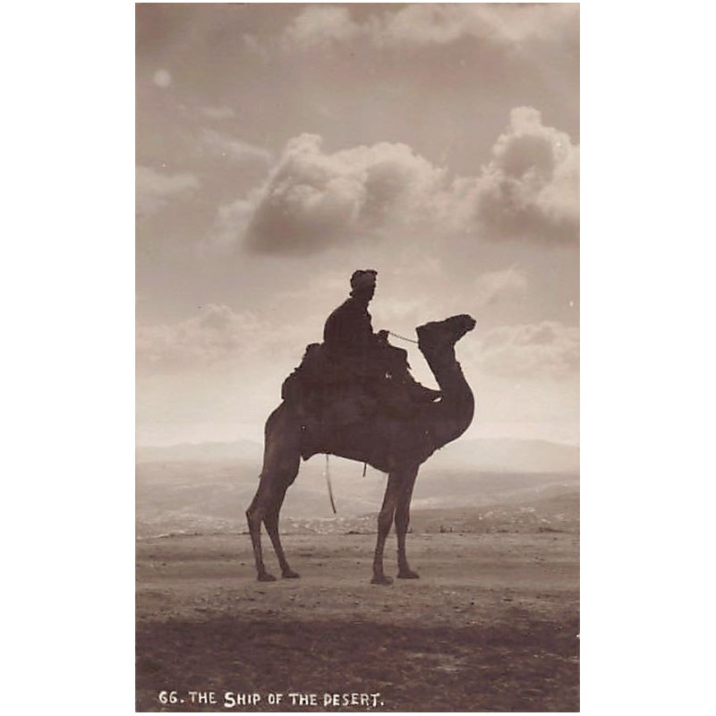 Rare collectable postcards of ISRAEL & PALESTINE Belgique België. Vintage Postcards of ISRAEL & PALESTINE Belgique België