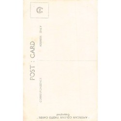 Rare collectable postcards of ISRAEL & PALESTINE Belgique België. Vintage Postcards of ISRAEL & PALESTINE Belgique België