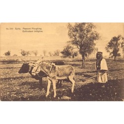 Rare collectable postcards of ISRAEL & PALESTINE Belgique België. Vintage Postcards of ISRAEL & PALESTINE Belgique België