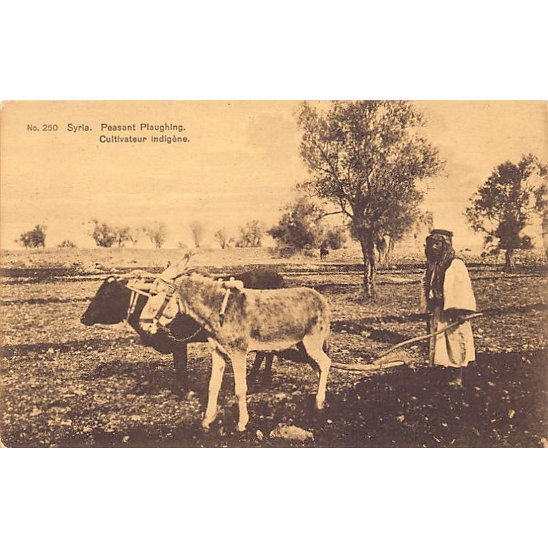 Rare collectable postcards of ISRAEL & PALESTINE Belgique België. Vintage Postcards of ISRAEL & PALESTINE Belgique België