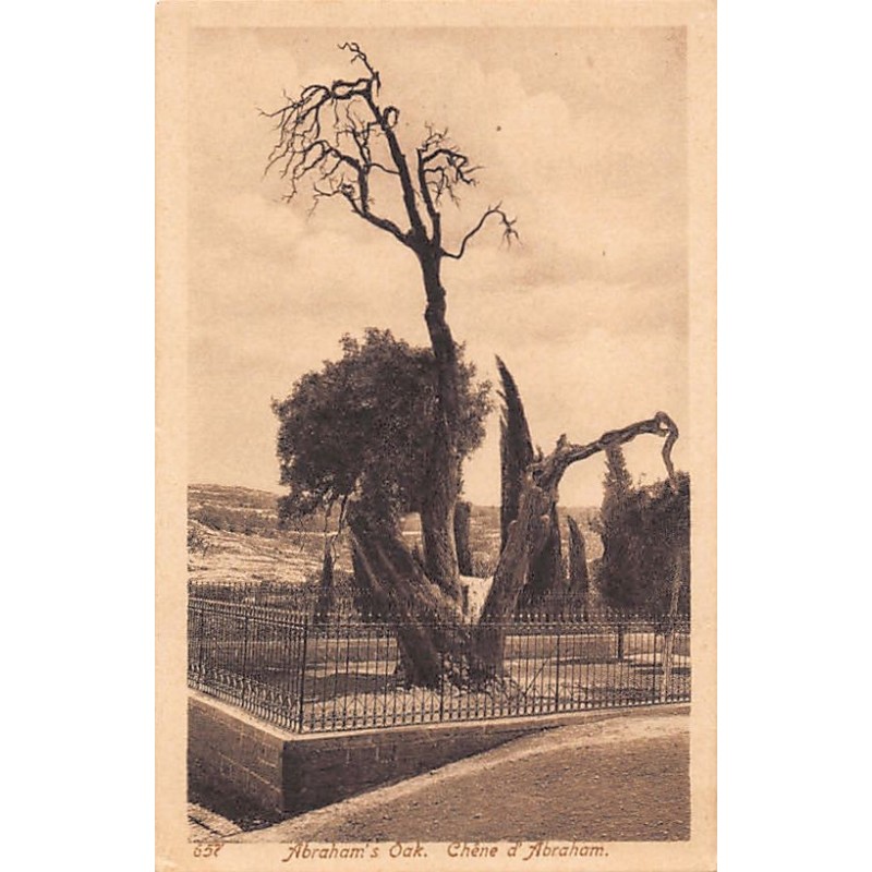 Rare collectable postcards of ISRAEL & PALESTINE Belgique België. Vintage Postcards of ISRAEL & PALESTINE Belgique België