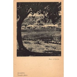 Rare collectable postcards of ISRAEL & PALESTINE Belgique België. Vintage Postcards of ISRAEL & PALESTINE Belgique België