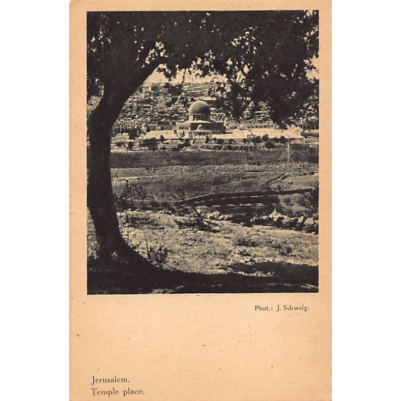 Rare collectable postcards of ISRAEL & PALESTINE Belgique België. Vintage Postcards of ISRAEL & PALESTINE Belgique België