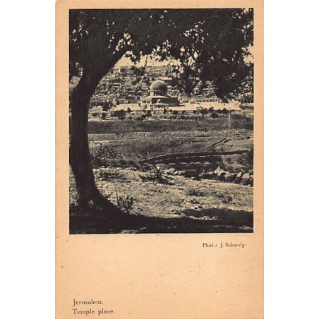 Rare collectable postcards of ISRAEL & PALESTINE Belgique België. Vintage Postcards of ISRAEL & PALESTINE Belgique België