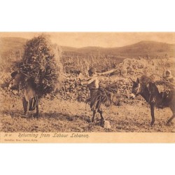 Rare collectable postcards of LEBANON Belgique België. Vintage Postcards of LEBANON Belgique België