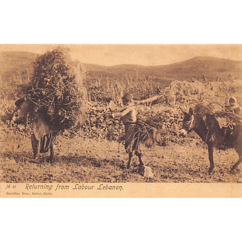 Rare collectable postcards of LEBANON Belgique België. Vintage Postcards of LEBANON Belgique België