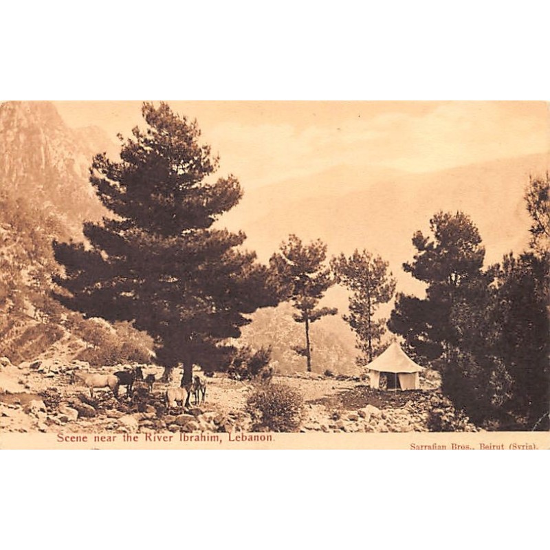 Rare collectable postcards of LEBANON Belgique België. Vintage Postcards of LEBANON Belgique België