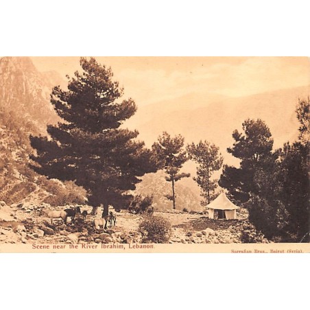 Rare collectable postcards of LEBANON Belgique België. Vintage Postcards of LEBANON Belgique België