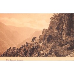 Rare collectable postcards of LEBANON Belgique België. Vintage Postcards of LEBANON Belgique België