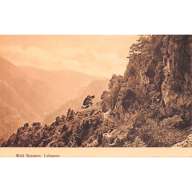 Rare collectable postcards of LEBANON Belgique België. Vintage Postcards of LEBANON Belgique België