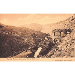 Rare collectable postcards of LEBANON Belgique België. Vintage Postcards of LEBANON Belgique België