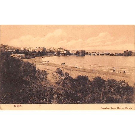 Rare collectable postcards of LEBANON Belgique België. Vintage Postcards of LEBANON Belgique België