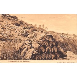 Rare collectable postcards of LEBANON Belgique België. Vintage Postcards of LEBANON Belgique België