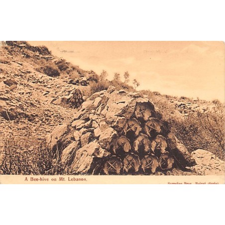 Rare collectable postcards of LEBANON Belgique België. Vintage Postcards of LEBANON Belgique België