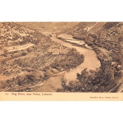 Rare collectable postcards of LEBANON Belgique België. Vintage Postcards of LEBANON Belgique België