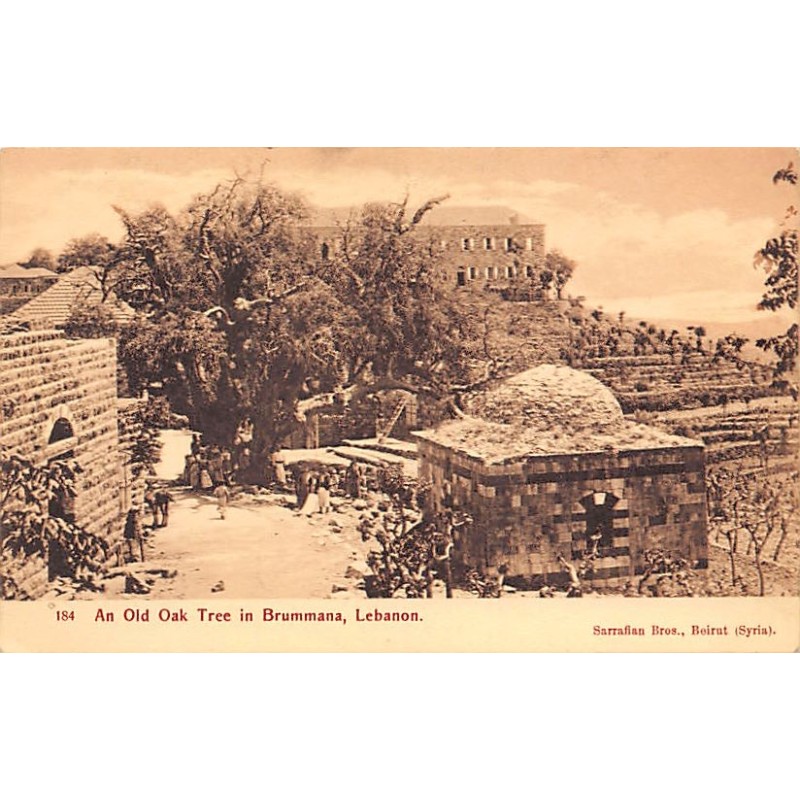 Rare collectable postcards of LEBANON Belgique België. Vintage Postcards of LEBANON Belgique België