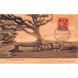 Rare collectable postcards of LEBANON Belgique België. Vintage Postcards of LEBANON Belgique België