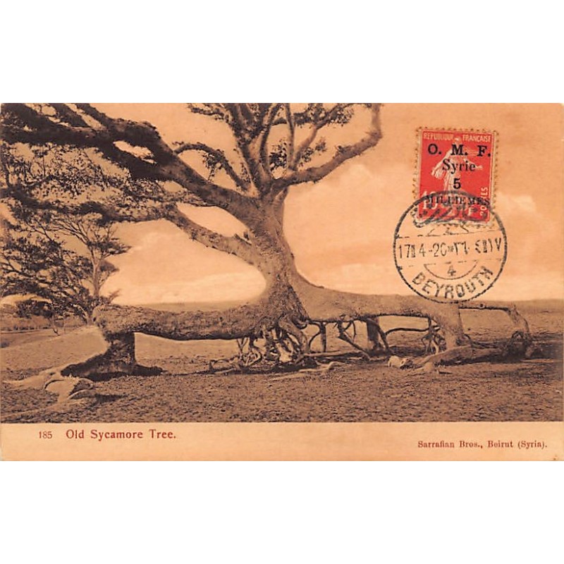 Rare collectable postcards of LEBANON Belgique België. Vintage Postcards of LEBANON Belgique België