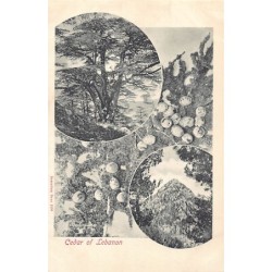 Rare collectable postcards of LEBANON Belgique België. Vintage Postcards of LEBANON Belgique België